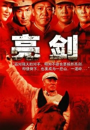 亮剑 (2005)