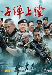 我是特种兵 (2011)