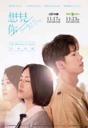 想见你 (2019)